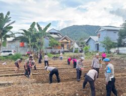 Kapolres Palopo AKBP Safi’i Nafsikin Memimpin Kegiatan Penanaman Sayur Bersama Polsek Wara, Dalam rangka Mendukung Ketahanan Pangan Melalui program Asta Cita