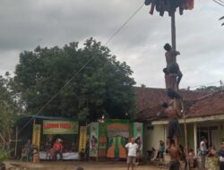 Meriahkan HUT RI yang Ke (80),Tiuh Panaragan Jaya Utama Adakan Acara Panjat Pinang.