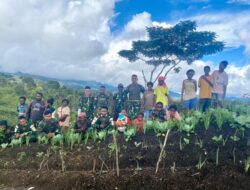 Tanam Sayur untuk Kesejahteraan Bersama, Pos Parim Giatkan Ketahanan Pangan Bersama Warga.